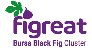figreat-png-logo